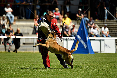 Patriot Dei Bonaccorso