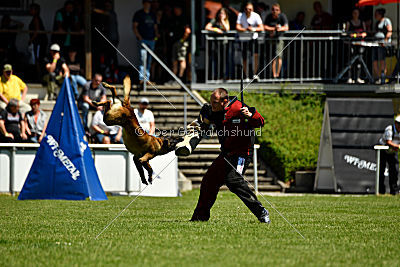 Patriot Dei Bonaccorso