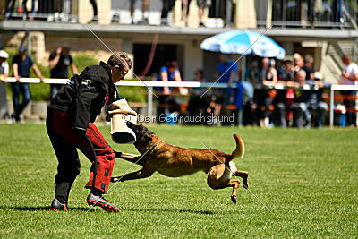 Patriot Dei Bonaccorso