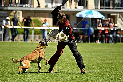 Patriot Dei Bonaccorso