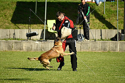 Patriot Dei Bonaccorso