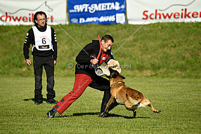 Patriot Dei Bonaccorso