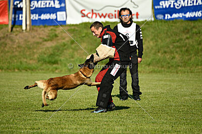 Patriot Dei Bonaccorso