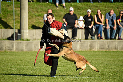 Patriot Dei Bonaccorso