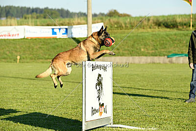 Patriot Dei Bonaccorso