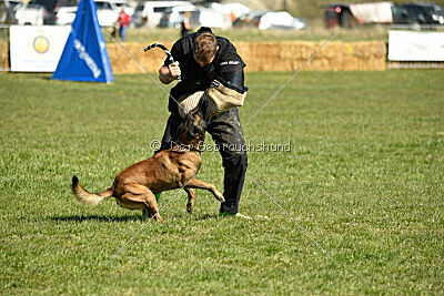 Patriot van de Berlex-Hoeve