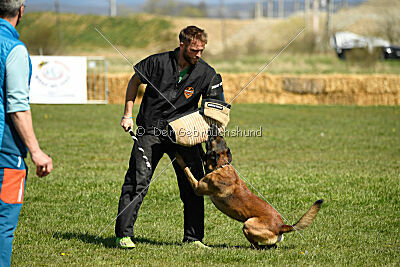 Patriot van de Berlex-Hoeve