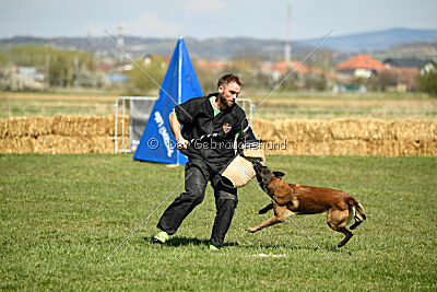 Patriot van de Berlex-Hoeve