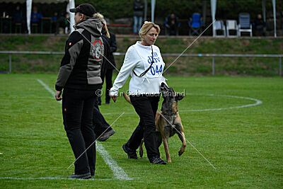 Pearl vom Kistenstein