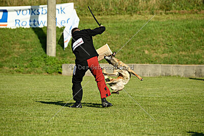 Pearl vom Kistenstein