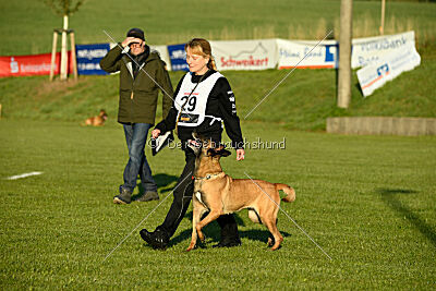 Pearl vom Kistenstein