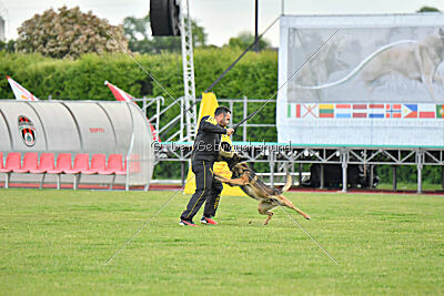 Pep's des Elflines de Gaelic