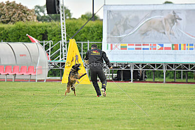 Pep's des Elflines de Gaelic