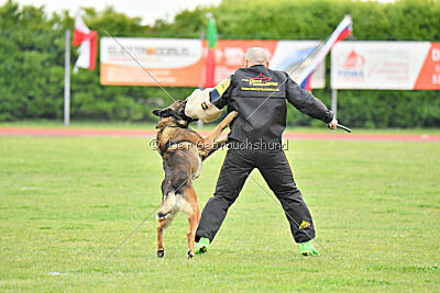Pep's des Elflines de Gaelic