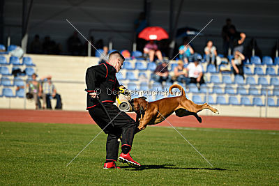 Percy von Fanatic