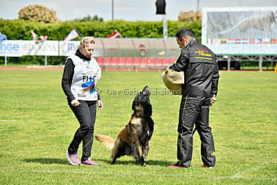 Perfect Rocket de la Rouquine