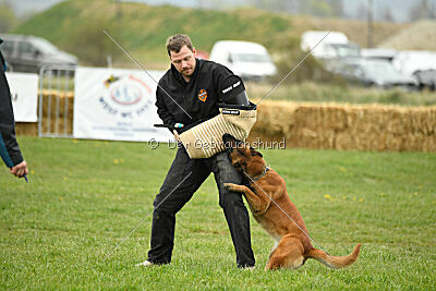 Perla de Solare's Venezuela