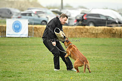 Perla de Solare's Venezuela