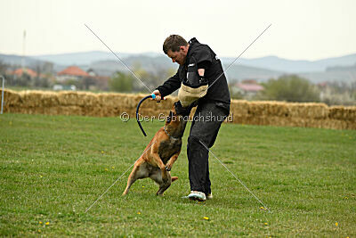 Perla de Solare's Venezuela