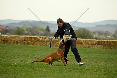 Perla de Solare's Venezuela