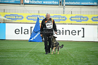 Perle van den Balkendreef