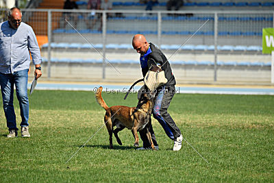 Phantom Malý Lumpík