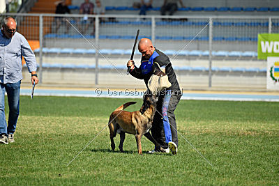 Phantom Malý Lumpík