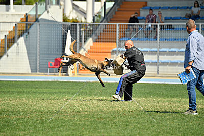 Phantom Malý Lumpík