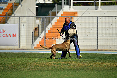 Phantom Malý Lumpík
