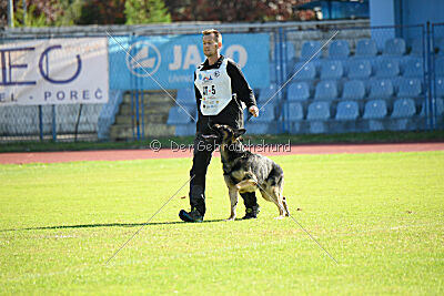 Phil vom Kämpferherz