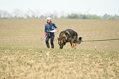 Pirate Du Domaine Jeff
