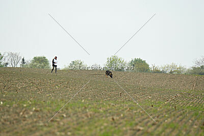 Pirate Du Domaine Jeff