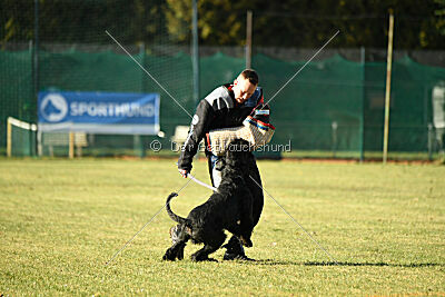 Pontifex Maximus von Blackmoore