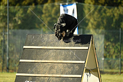 Pontifex Maximus von Blackmoore