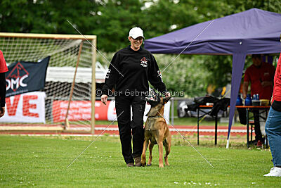 Primus vom Drachenherz