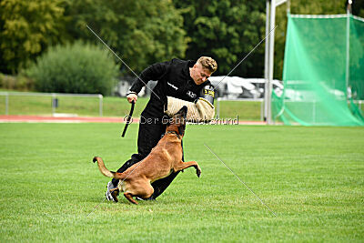 Primus vom Drachenherz