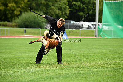 Primus vom Drachenherz