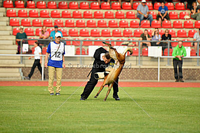 Primus vom Drachenherz