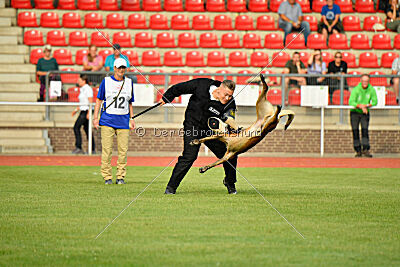 Primus vom Drachenherz