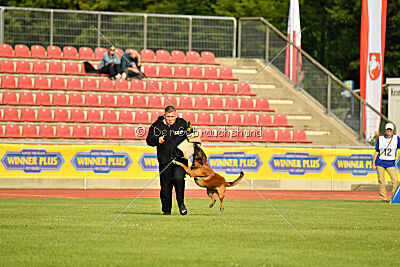 Primus vom Drachenherz