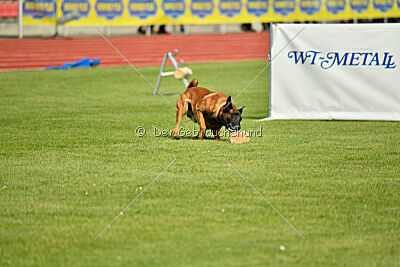 Primus vom Drachenherz