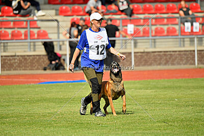 Primus vom Drachenherz