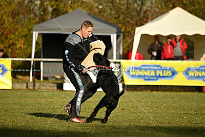 Prinz vom kleinen Büffel