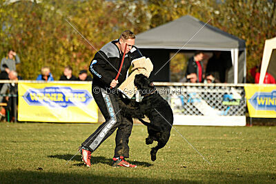 Prinz vom kleinen Büffel