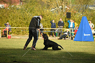 Prinz vom kleinen Büffel