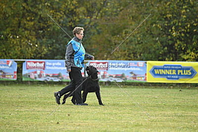 Prinz vom kleinen Büffel