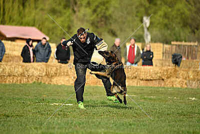 Punky de la Legion du Nord