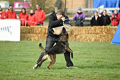 Punky de la Legion du Nord