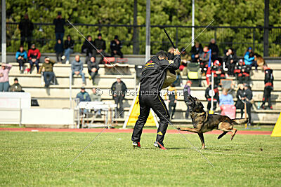 Punky de la Legion du Nord