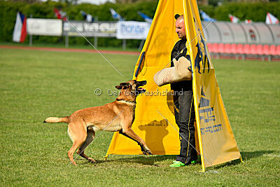 Python la Maschera di Ferro